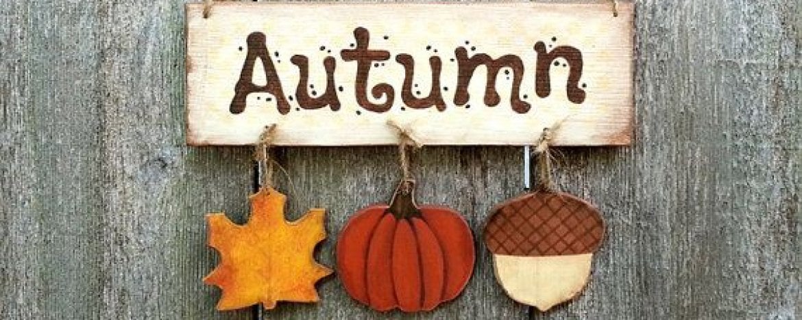Bloemschikken in de herfst: 7 voorbeelden om een herfststukje te maken