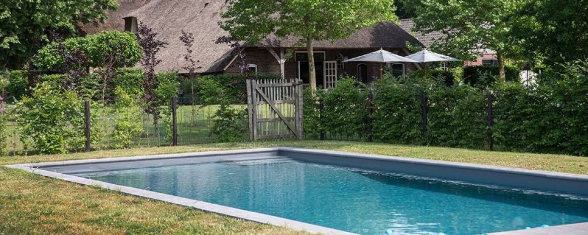 vorm Belegering mengen Zwembad in de tuin: zo maak je een tuinontwerp met zwembad