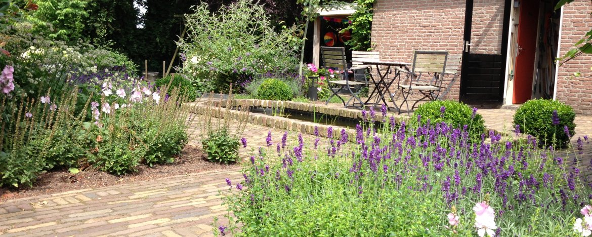 Ecotuin maken? 10 tuin ideeën om duurzaam en ecologisch te tuinieren
