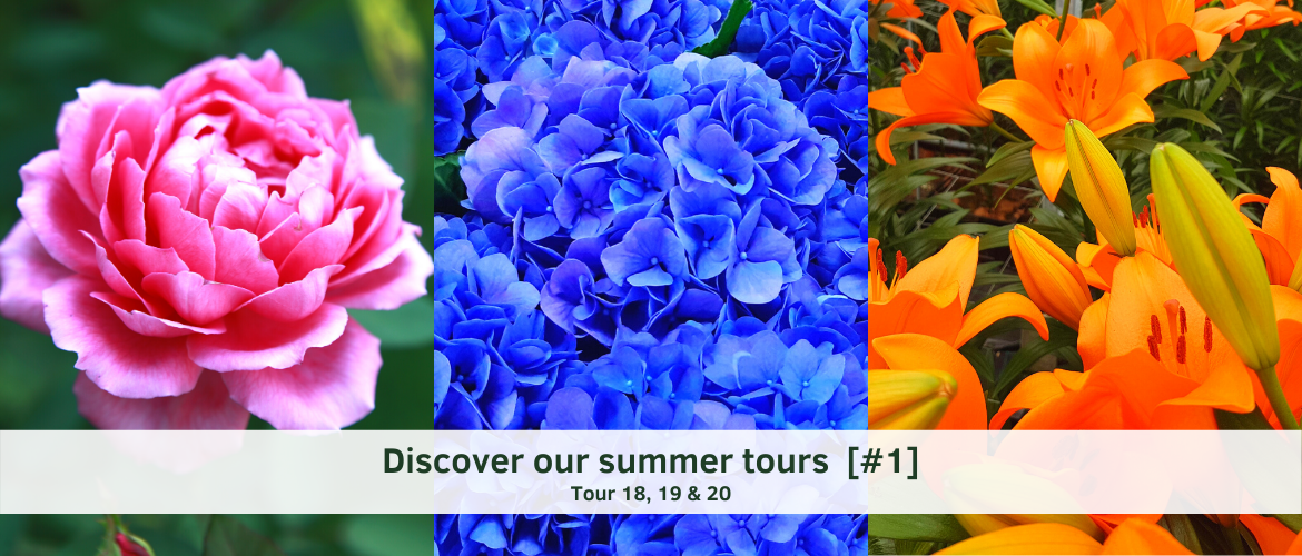 Discover our Summer Tours