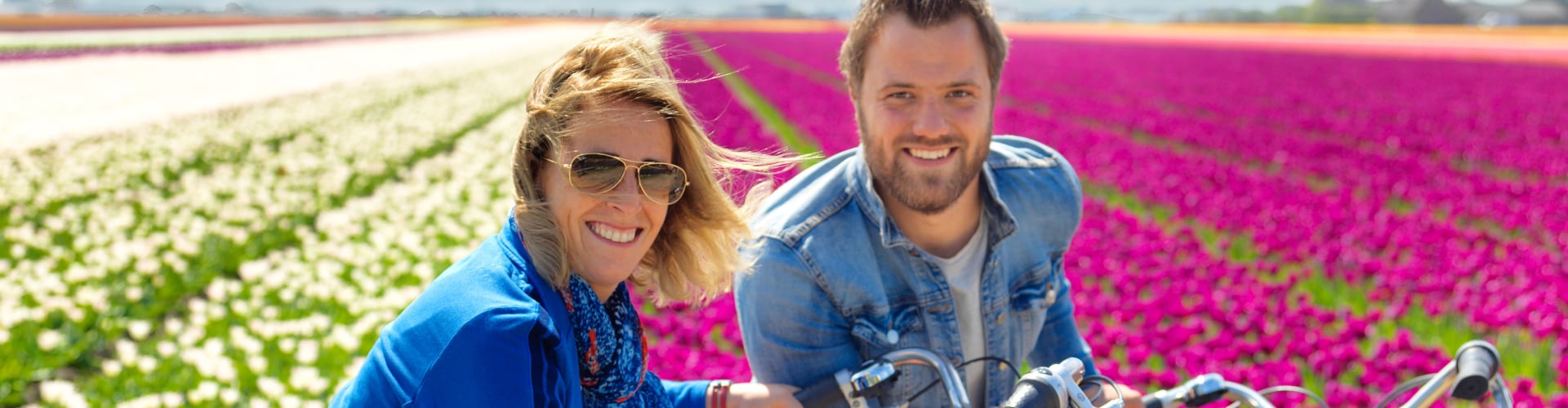 Bike ride tour between Tulip fields Lisse Holland