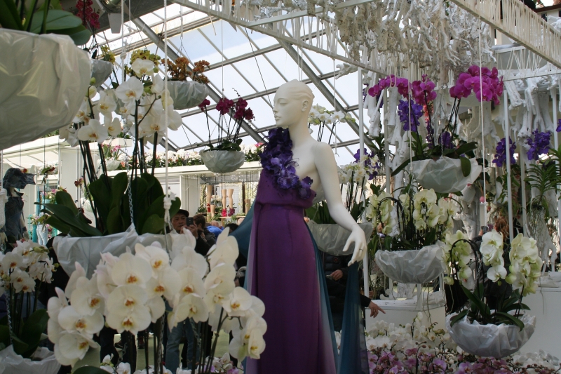 Orchids at Keukenhof pavilion