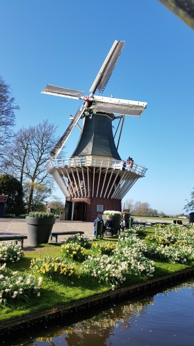 Windmill at Keukenhof park in Lisse Holland