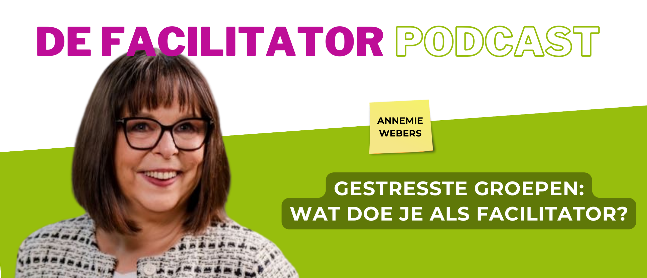 Gestresste groepen, wat doe je als facilitator? - Annemie Webers