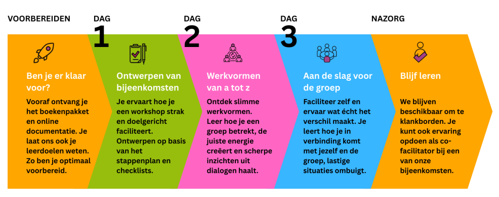 Infographic Faciliteren als een Pro Infographic Faciliteren als een Pro