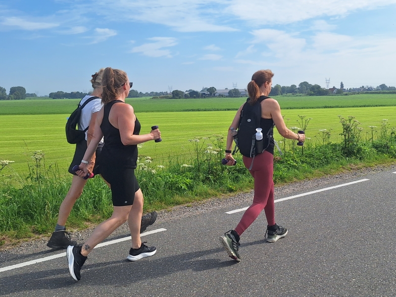 Wandelen en afvallen De RIjp