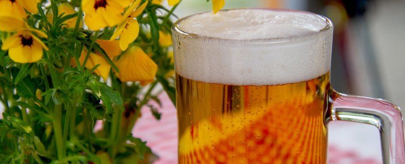 Here’s how you can find out the alcohol content of your beer?