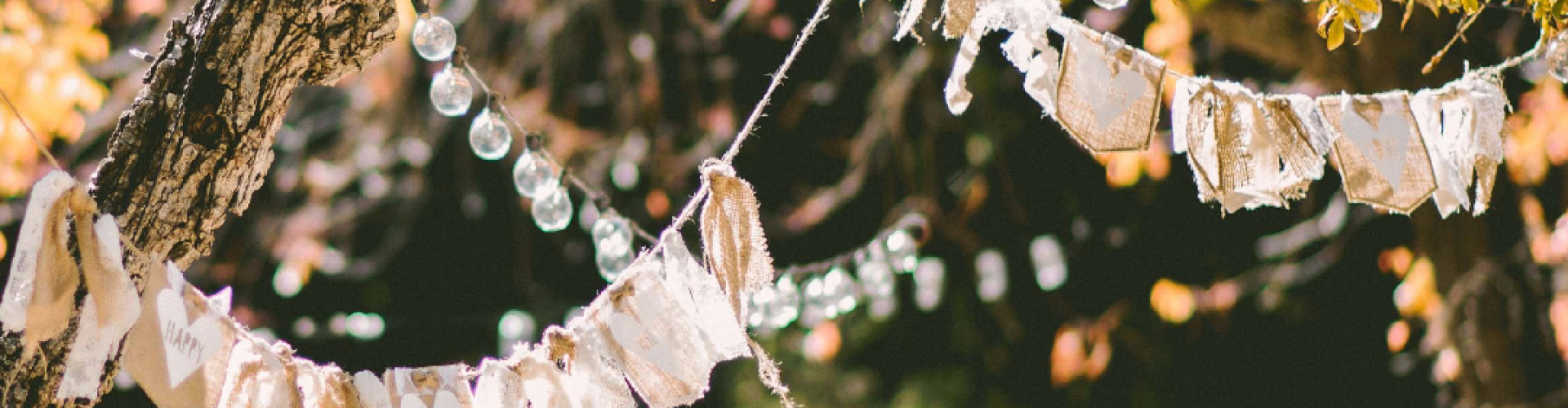 Feest vieren Feest vieren