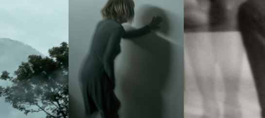 Verhamende fotografie Nicole Hagesteijn