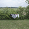 Wasmolen door Robert van Heumen