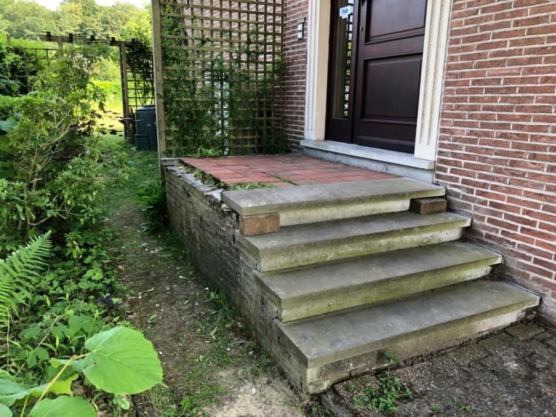 For Us Tree - tuinaanleg en zwemvijver heverlee