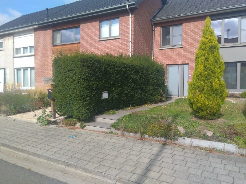 For Us Tree - fietsenberging Heverlee