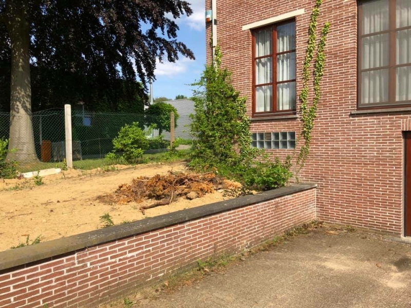 For Us Tree - tuinaanleg en zwemvijver heverlee