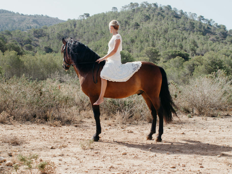 Paardenfotografie - Fotografie Debbie - Barneveld - in de bergen Paardenfotografie - Fotografie Debbie - Barneveld - in de bergen