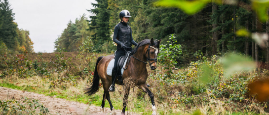 Paardenfotografie - Fotografie Debbie - Barneveld - ruiter Paardenfotografie - Fotografie Debbie - Barneveld - ruiter