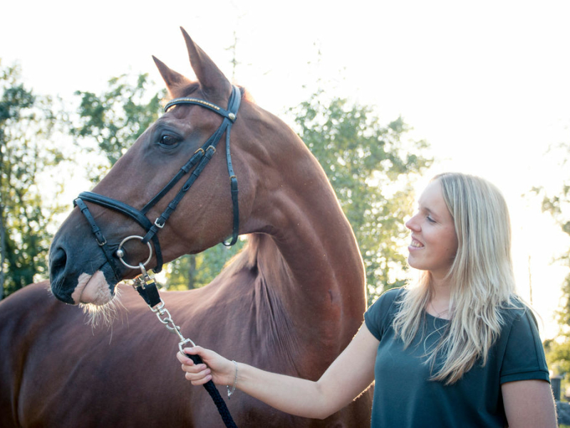 Paardenfotografie - Fotografie Debbie - Barneveld - wendy Paardenfotografie - Fotografie Debbie - Barneveld - wendy