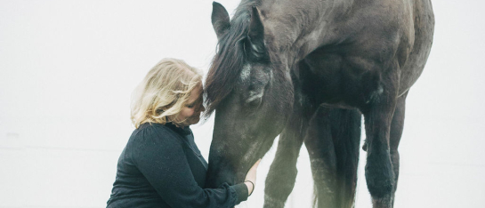 Paardenfotografie - Fotografie Debbie - Barneveld - zitten in weiland Paardenfotografie - Fotografie Debbie - Barneveld - zitten in weiland