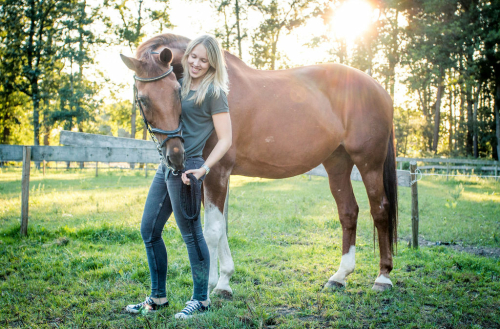 Paardenfotografie - Fotografie Debbie - Barneveld - halster