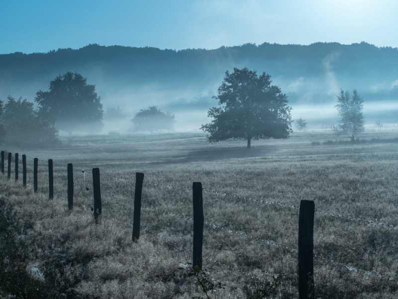 Mist over het landschap