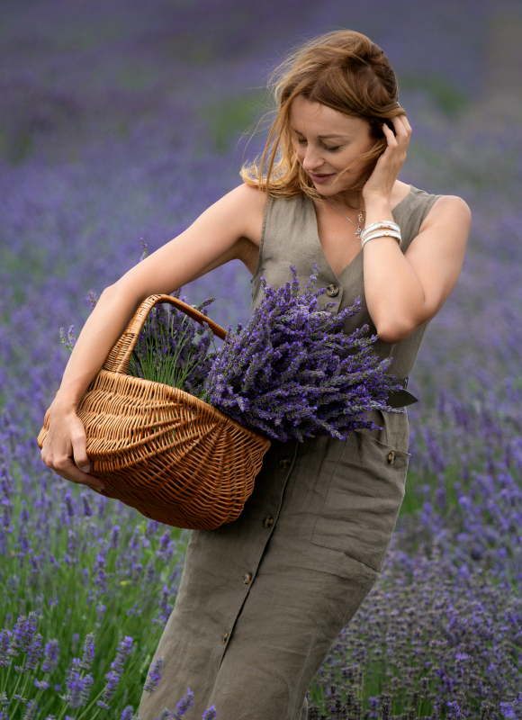 Lavendel voor thee en geneeskundige toepassing