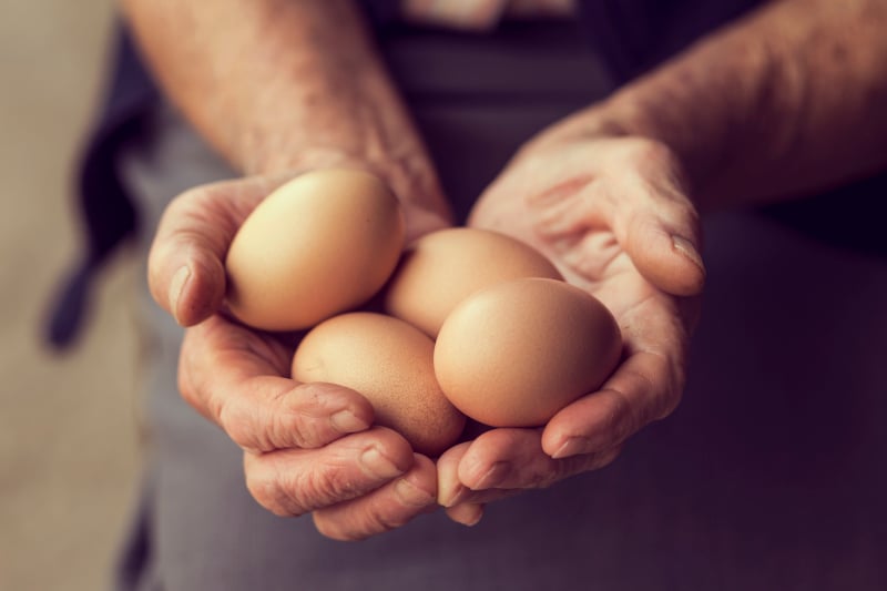 eieren voor een gezonde cholesterol