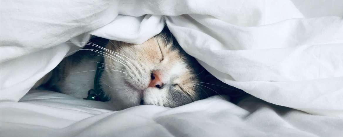 Hoe mediteer je iedere dag - zonder dat het je extra tijd kost (en je ook nog eens beter slaapt)?