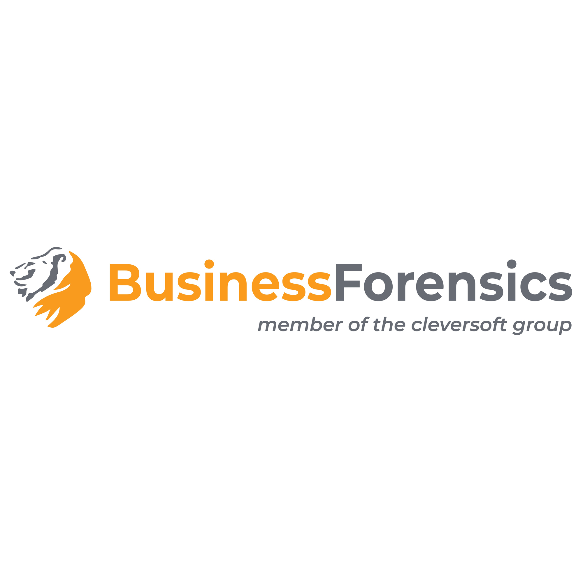 businessforensics