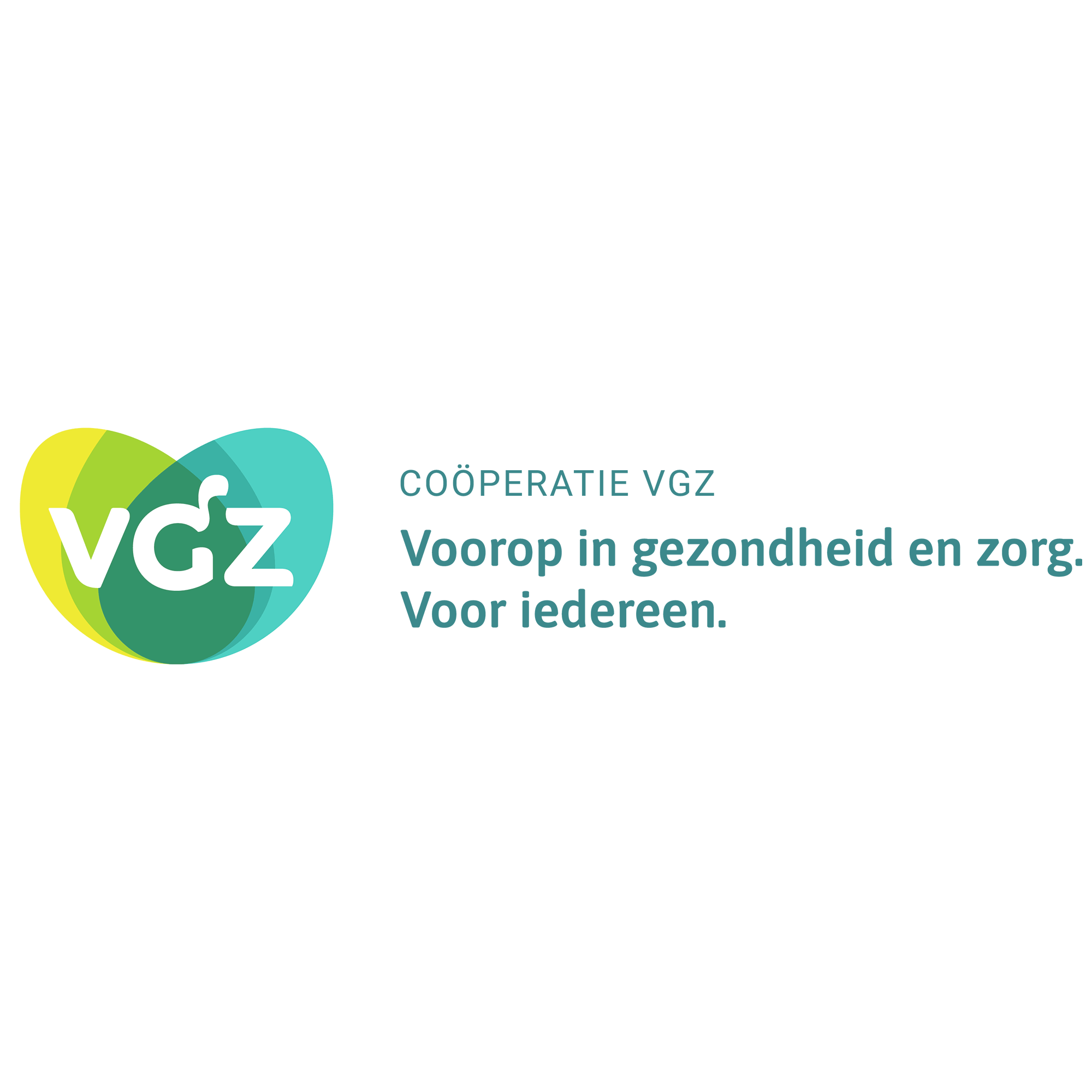 vgz-2024