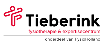 logo fysiotherapie tieberink 313x75 1 1 1 1 1