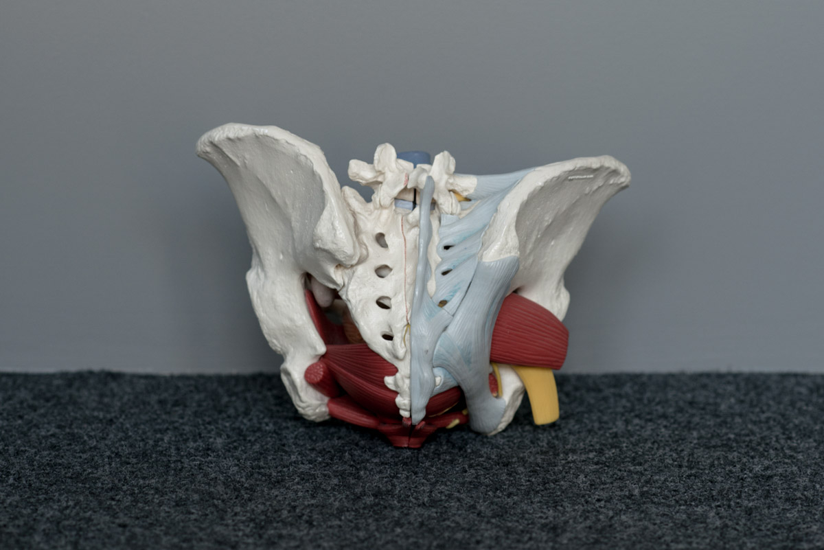 Bekkenfysiotherapie Geffen