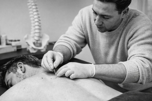 fysio maasgou fysio maasgouw