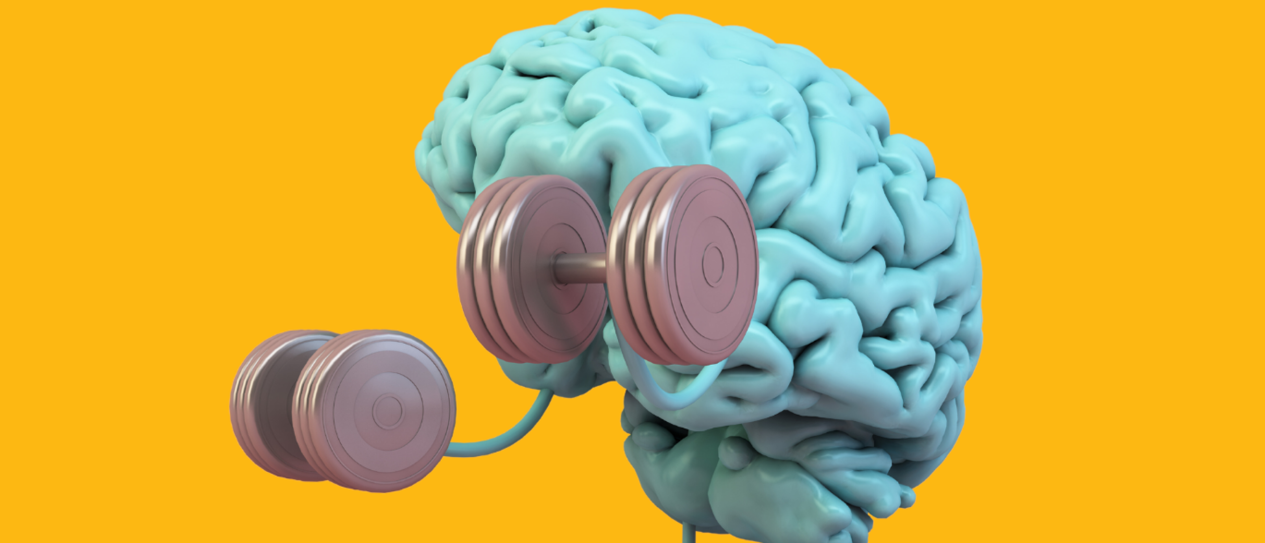 De Invloed van je brein op gewichtsverlies: Een holistische benadering voor Ondernemers