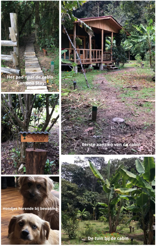 Pad naar cabin Camona Stay