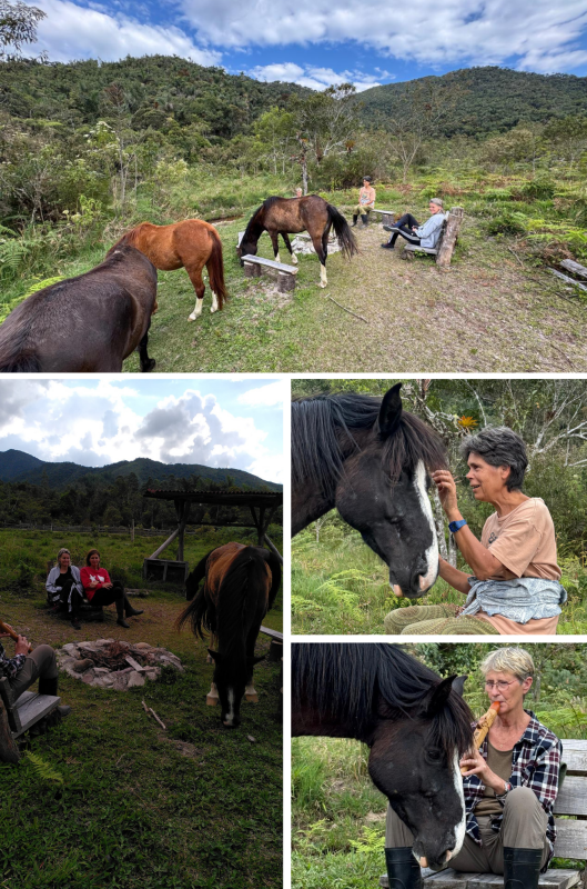 Fluiten bij de vuurplaats