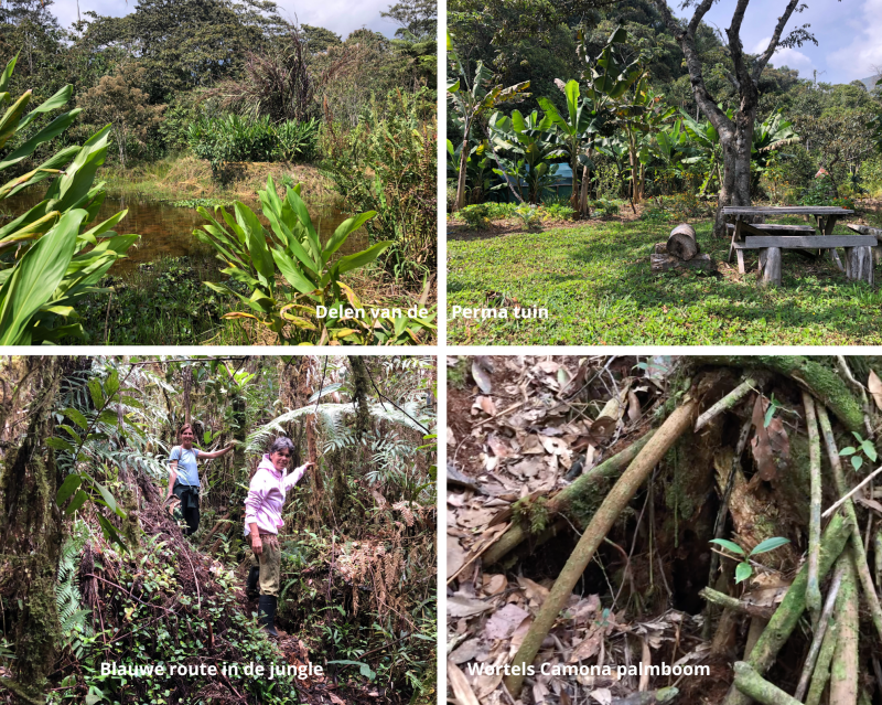 Perma en jungle tour