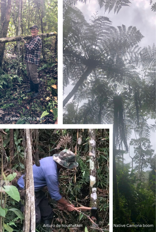 hekwerk voorbereiden