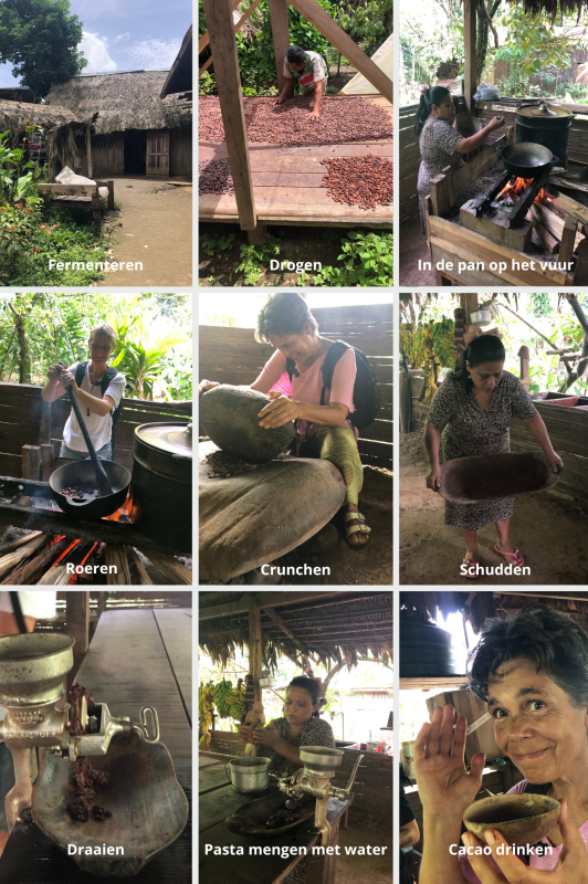 cacao proces