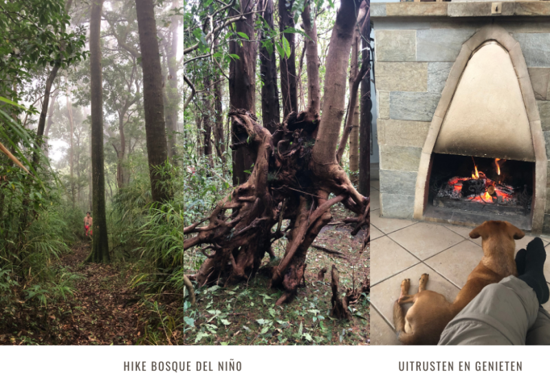 hike bosque del nino