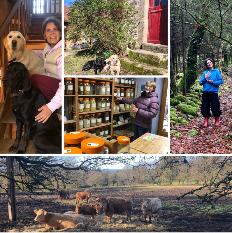 Manerbe eb Bourganeuf