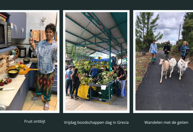 markt en geiten uitlaten