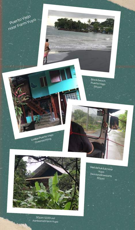 2 onderweg naar yuyo