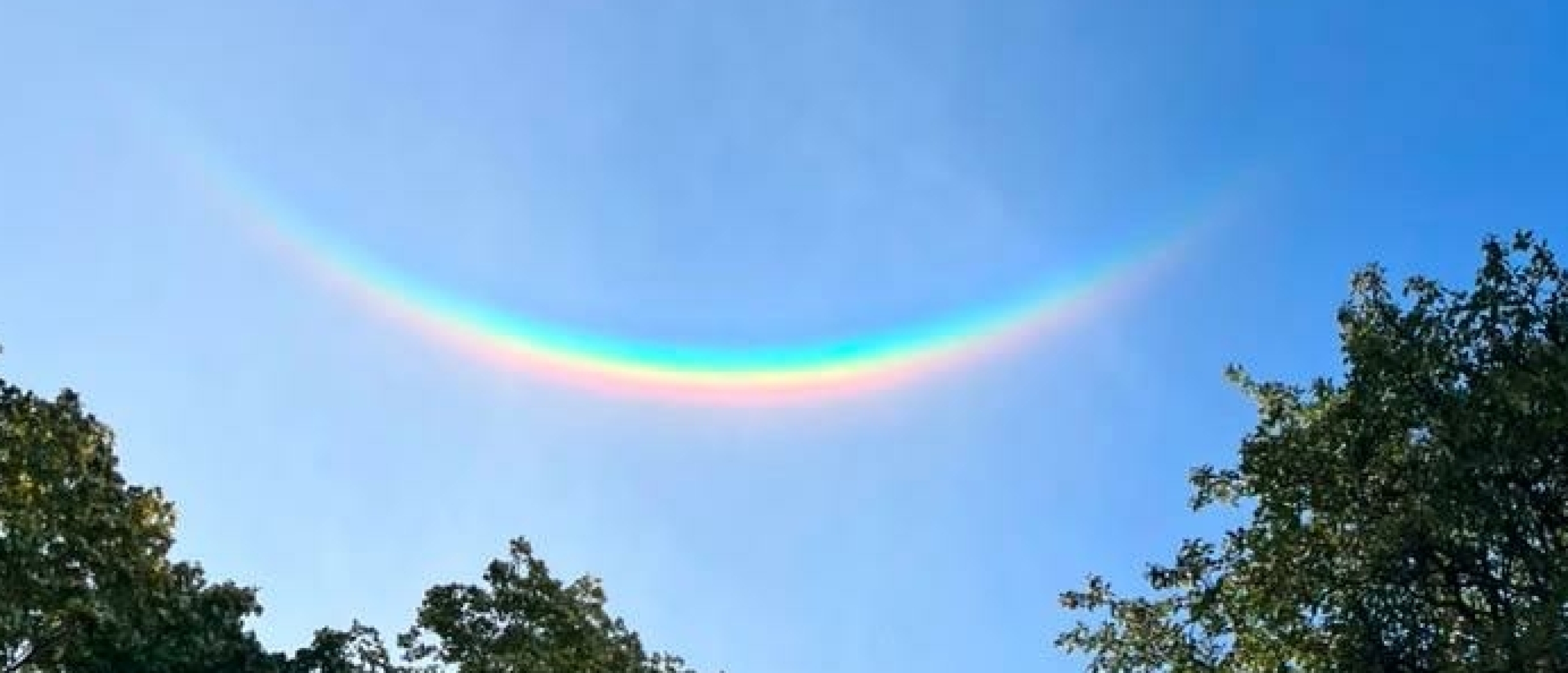 regenboog