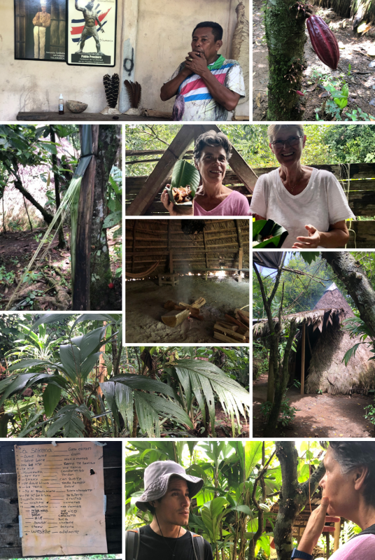 raondleiding cacao farm