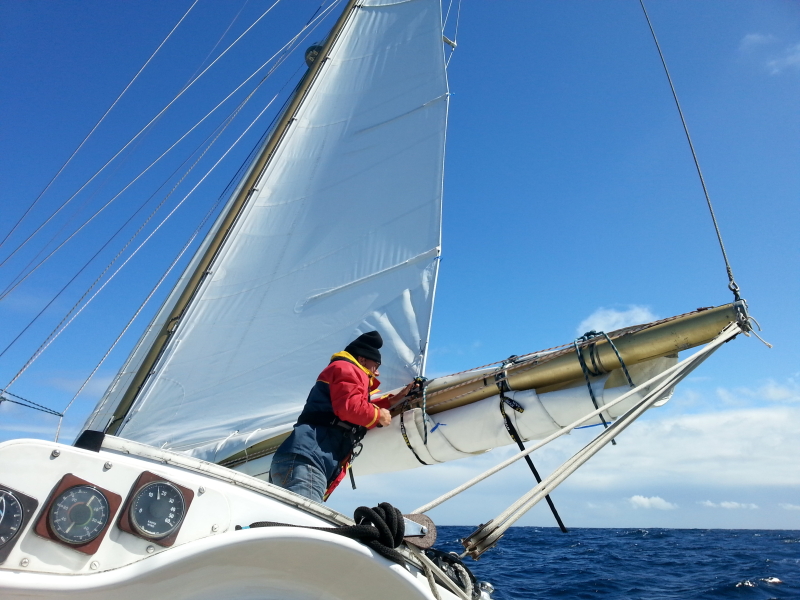 gallant 53 for sale te koop van de Stadt