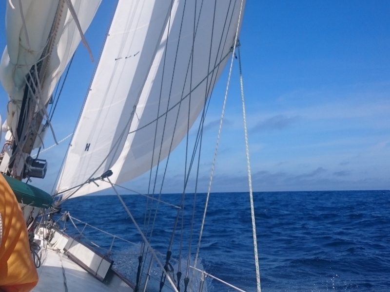 gallant 53 for sale te koop van de Stadt klassiek zeiljacht classic sailing yacht