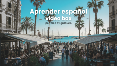 voorbeeld gallerello video bundeling