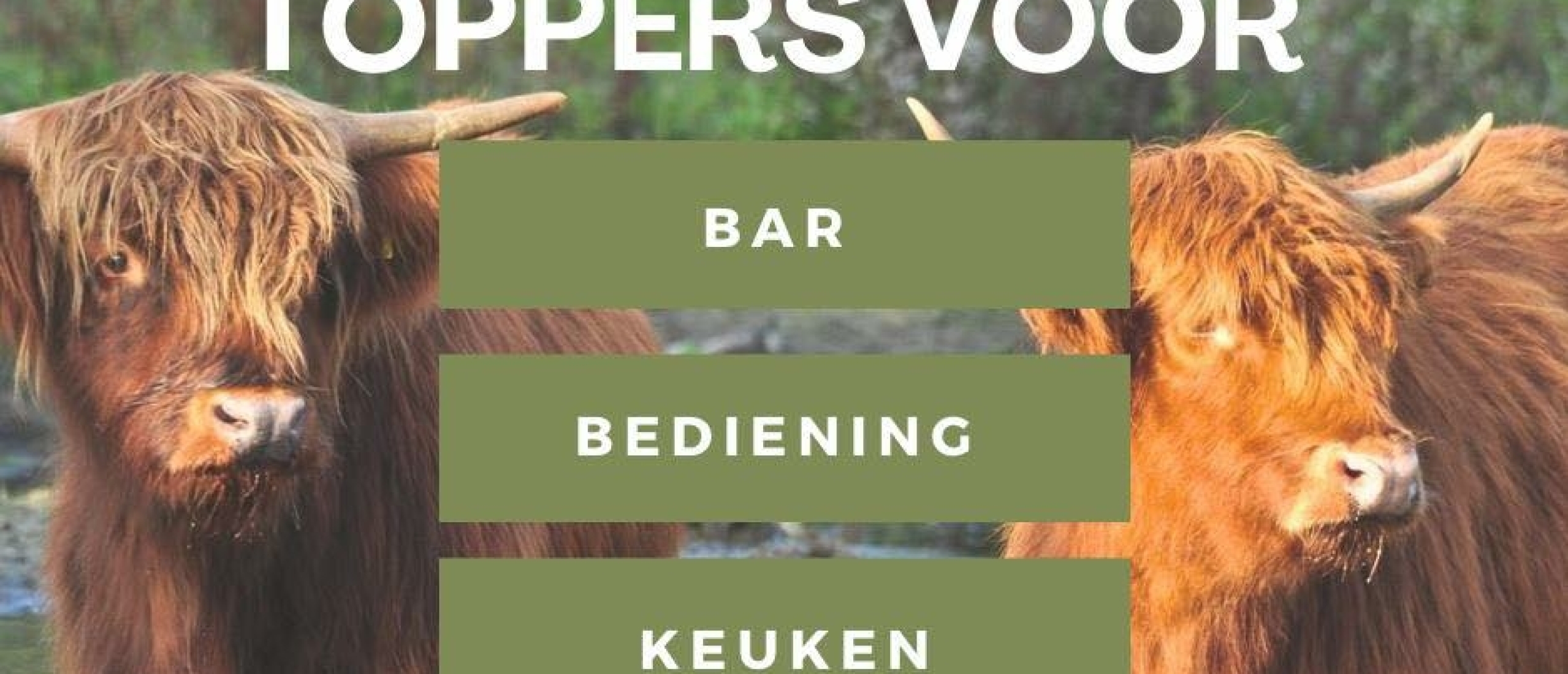 We zoeken nog medewerkers voor bar, bediening en keuken