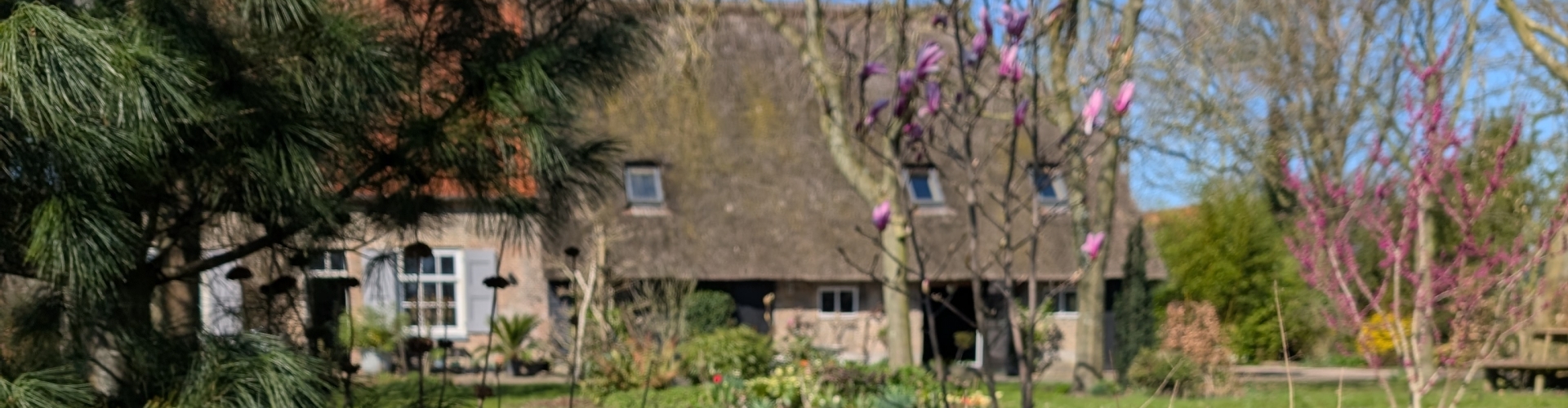 De Luijenbergh