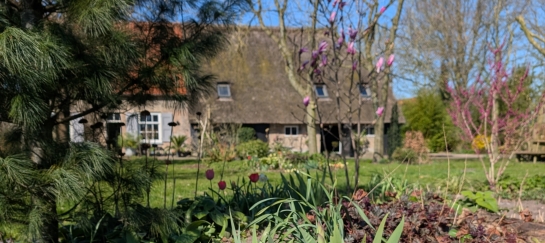 De Luijenbergh