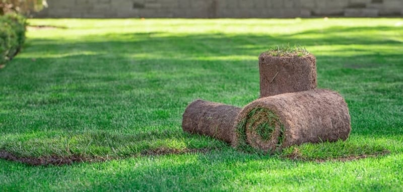 nieuwe graszoden sproeien